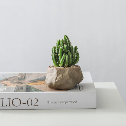 Potted Cacti — Island Reef Style with Bamboo Mat