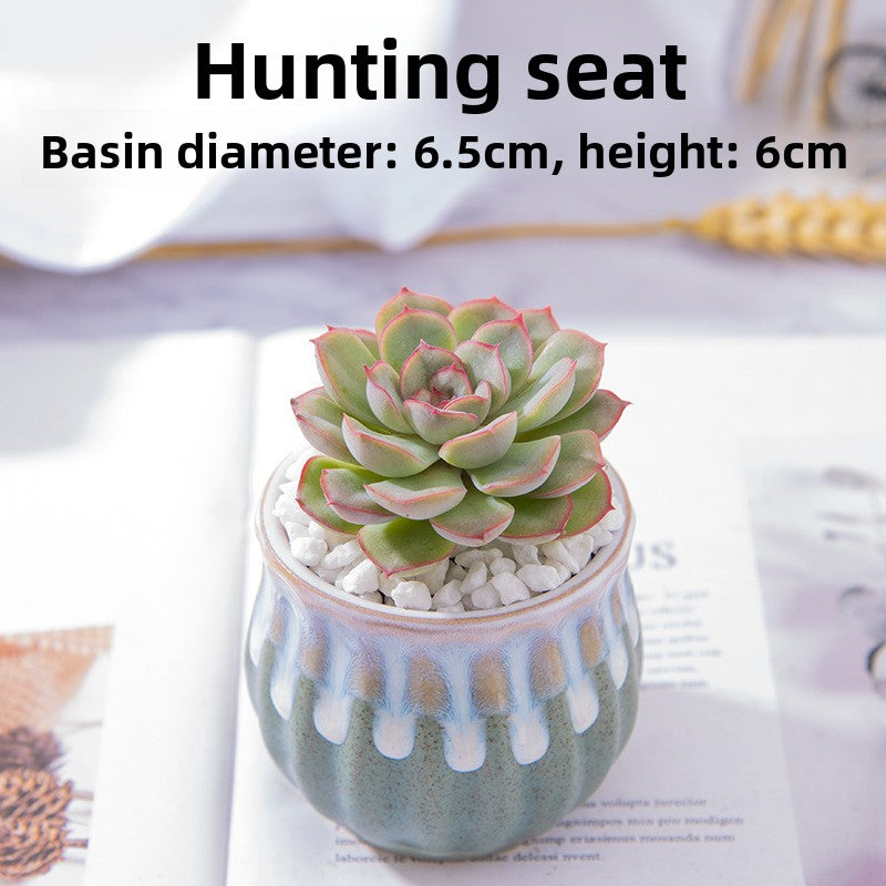 Succulent Potted Plants with Decorative Pots