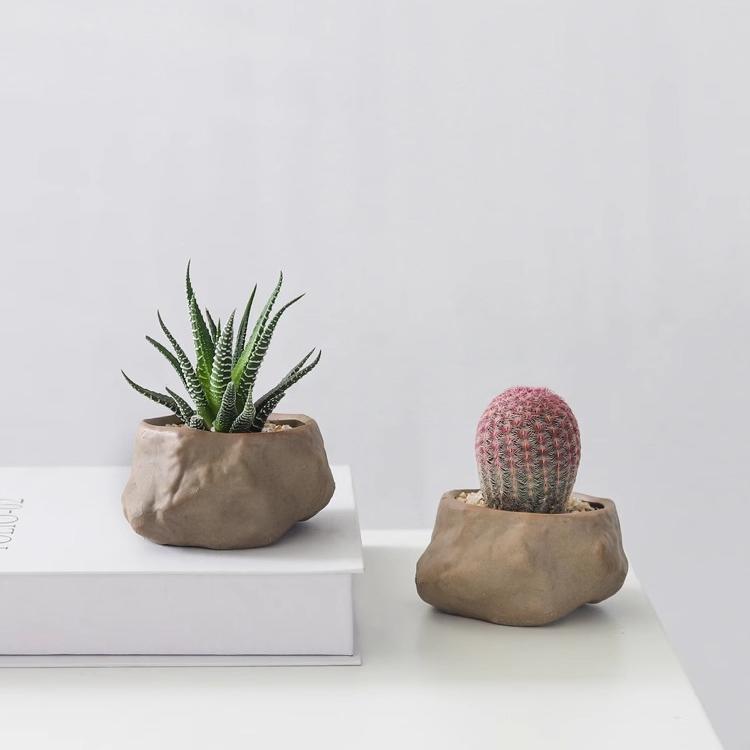 Potted Cacti — Island Reef Style with Bamboo Mat