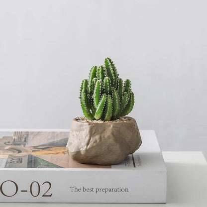 Potted Cacti — Island Reef Style with Bamboo Mat