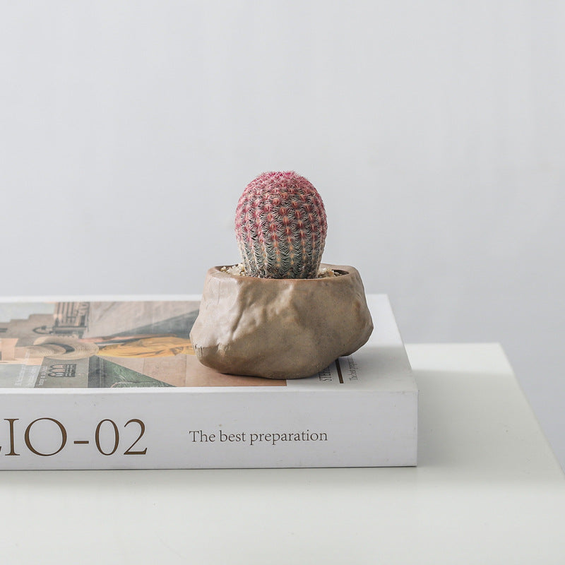 Potted Cacti — Island Reef Style with Bamboo Mat
