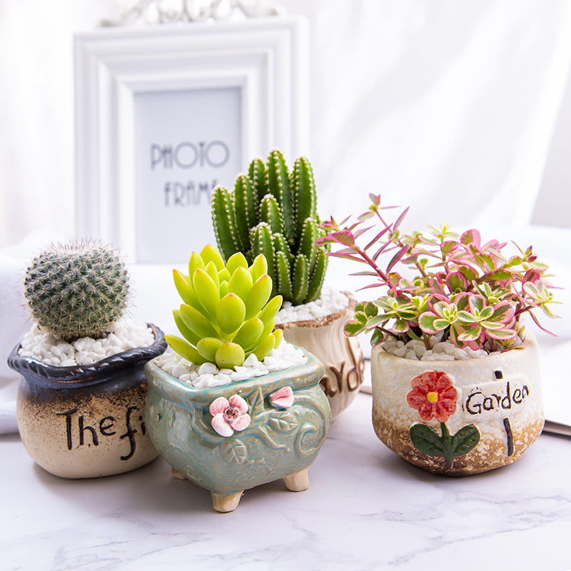 Succulent Potted Plants with Decorative Pots