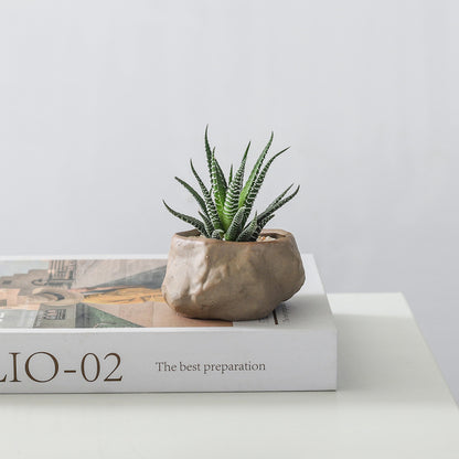 Potted Cacti — Island Reef Style with Bamboo Mat