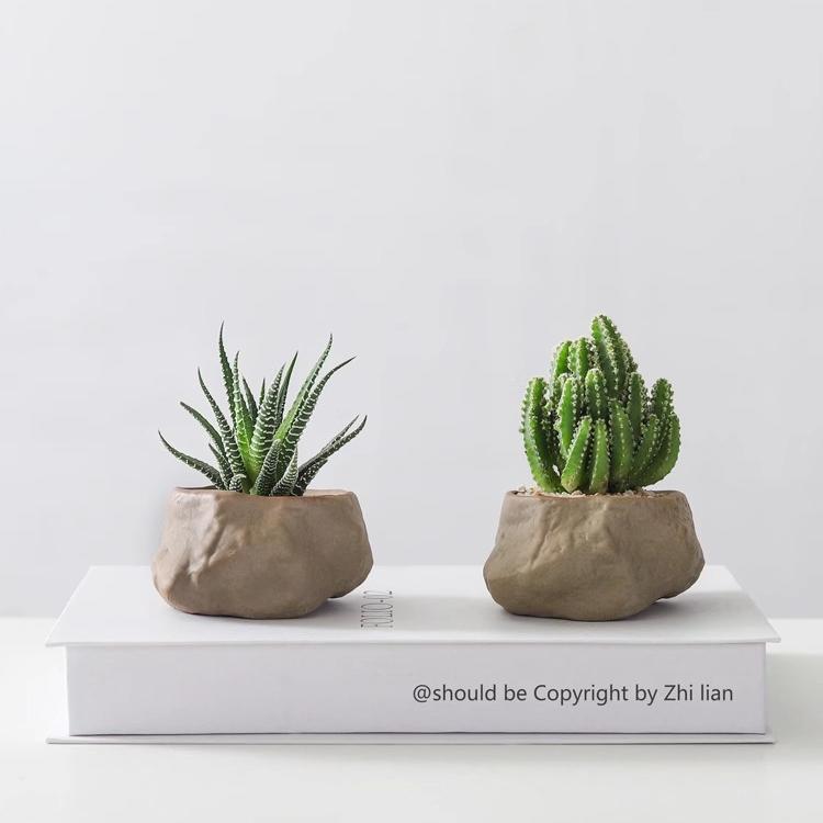 Potted Cacti — Island Reef Style with Bamboo Mat