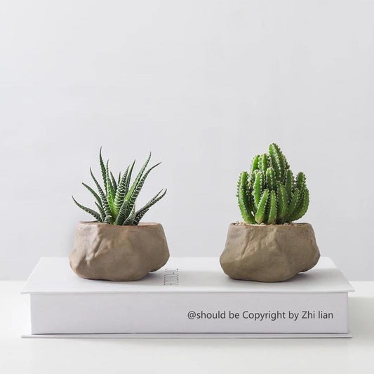 Potted Cacti — Island Reef Style with Bamboo Mat